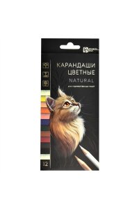КАРАНДАШИ 12ЦВ НАТУРЕЛЬ (ЦВЕТА ПРИРОДН ОТТЕНКОВ) ФЕНИКС+ АРТ. 64103
