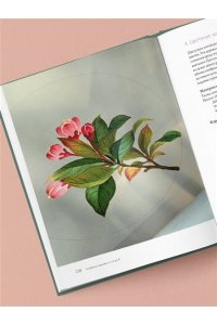 Шуан Ц. Китайская вышивка от А до Я. Полный практический курс по техникам, приемам и стилям