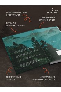 Пирс С. Дебри
