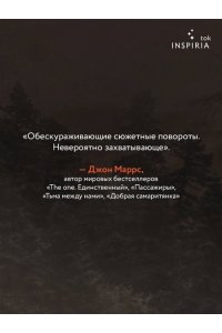 Пирс С. Дебри