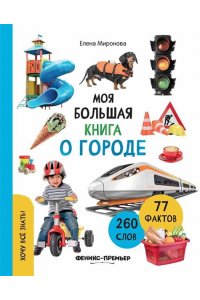 Миронова Елена Львовна Моя большая книга о городе
