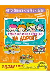 Василюк Ю.С. Правила безопасного поведения на дороге. Говорящая книга с заданиями
