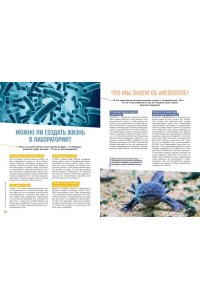 Босье С. Школьная энциклопедия. 50 неразгаданных загадок науки