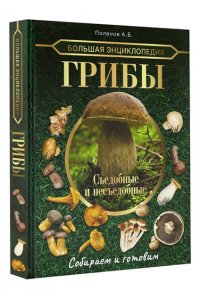 Большая энциклопедия. Грибы. Съедобные и несъедобные. Собираем и готовим.