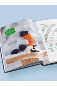 Котова А.И. Мягкие игрушки на спицах. 12 пушистых зверей, которых легко вязать и не надо сшивать
