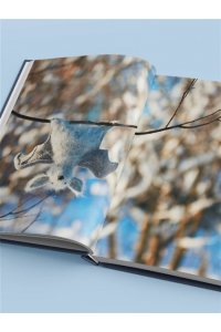 Котова А.И. Мягкие игрушки на спицах. 12 пушистых зверей, которых легко вязать и не надо сшивать