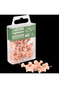 КНОПКИ СИЛОВЫЕ 40ШТ DEVENTE. SIGNATURE ПУДРОВО-РОЗОВЫЙ 4132509 (5687)