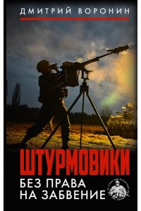 Воронин Д.А. Штурмовики. Без права на забвение