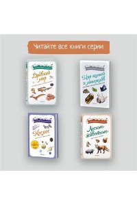 Жапьо Ксавье Лесные животные