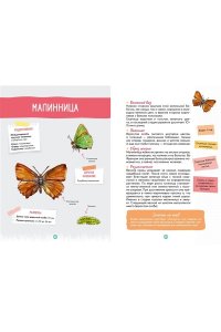 Жапьо Ксавье Лесные животные