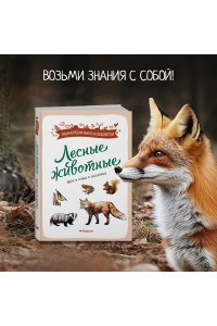 Жапьо Ксавье Лесные животные