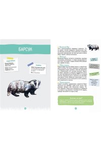 Жапьо Ксавье Лесные животные