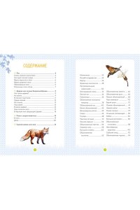 Жапьо Ксавье Лесные животные