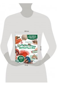 Тихонов А.В. Невероятные моллюски