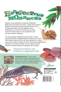 Тихонов А.В. Невероятные моллюски