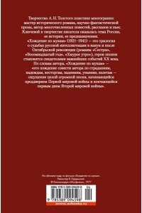 Хождение по мукам