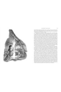Книги Земноморья. Полное иллюстрированное издание (Рис. Ч. Весса)