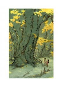 Книги Земноморья. Полное иллюстрированное издание (Рис. Ч. Весса)