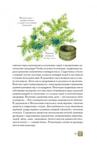 Конде Т. Боги, люди, ароматы