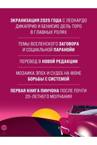 Пинчон Т. Винляндия