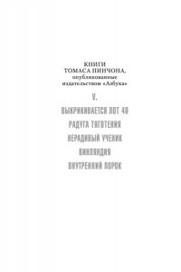 Пинчон Т. Винляндия
