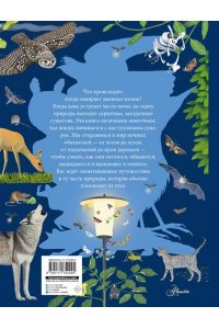 Мюллер Т. Ночные животные