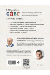 Лабковский М., Чутко Л.С. Ребенок-ракета, ребенок-ураган. Руководство по СДВГ для любящих и уставших родителей