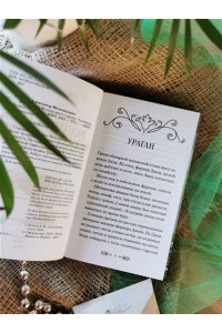 Александр Волков Волшебник Изумрудного города (Внеклассное чтение)