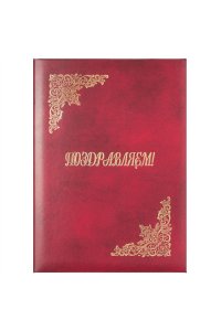 ПАПКА АДРЕС Б/В ПОЗДРАВЛЯЕМ (1524)/APBV_389 / 160236 (3147)