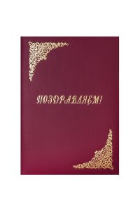 ПАПКА АДРЕС Б/В ПОЗДРАВЛЯЕМ (1524)/APBV_389 / 160236 (3147)
