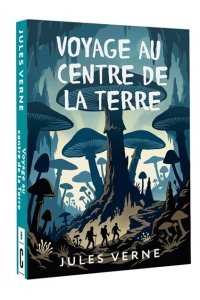 Verne Jules Voyage au centre de la Terre = Путешествие к центру Земли