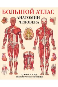 Большой атлас анатомии человека