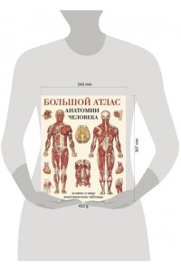 Большой атлас анатомии человека