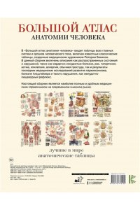 Большой атлас анатомии человека
