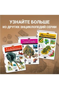 Древний мир. Полная энциклопедия