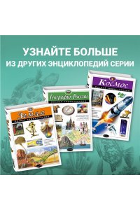 Подводный мир. Полная энциклопедия