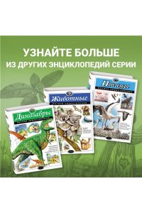 Растения. Полная энциклопедия