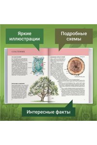 Растения. Полная энциклопедия