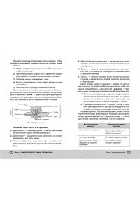 Зеленская Е. ОГЭ. Биология