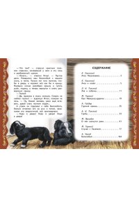 Котовская И. Самые лучшие сказки русских писателей (с крупными буквами, ил. М. Белоусовой)