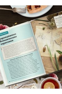 Хмелевская Н.А. Счастье творчества. Книга о романтике загородной жизни, рукодельных вечерах и единении с природой