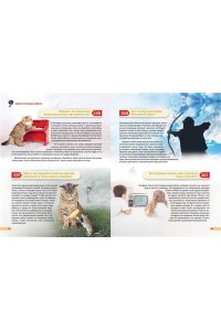 Невероятные факты! 365 вопросов и ответов