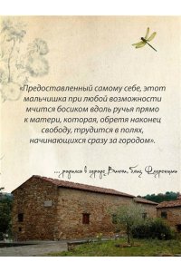 Вечче К. Жизнь Леонардо, мальчишки из Винчи, разностороннего гения, скитальца