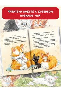 Данилова И. Б. Курочкин котенок