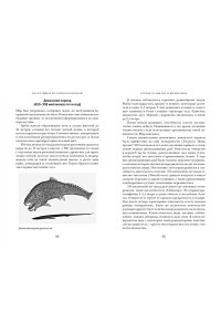 Бейкер Д. Кратчайшая история Вселенной: От Большого взрыва до наших дней (в сверхдоступном изложении)