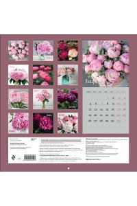 К-РЬ НАСТ 2026 ВЕЛИКОЛЕПНЫЕ ПИОНЫ 300*300ММ А4 СКРЕПКА 000-3