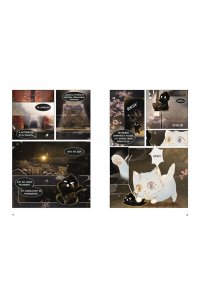 А Н., Дай Т. Императорские коты в Запретном городе. Покушение на императора (Том 4)