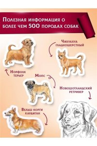 Михальская А.К. Породы собак Энциклопедия (первая обложка с борзой)
