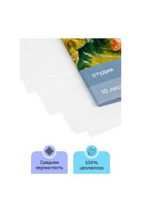 ПАПКА Д/АКВАРЕЛИ А4 10Л 200Г/КВ.М ГАММА СТУДИЯ СРЕДНЕЕ ЗЕРНО АРТ.40C03F710W (6644)