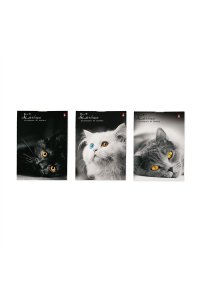 БЛОКНОТ 40Л А7 АЛЬТ КОШКИ В АСС АРТ. 3-40-519 (7866)